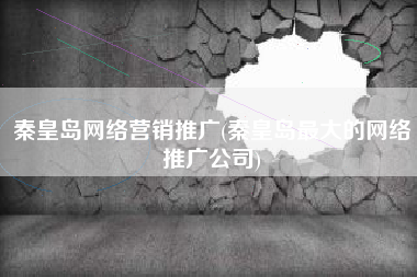 秦皇岛网络营销推广(秦皇岛最大的网络推广公司)