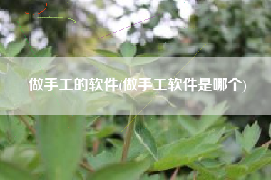 做手工的软件(做手工软件是哪个)