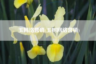玉网络营销(玉树网络营销)