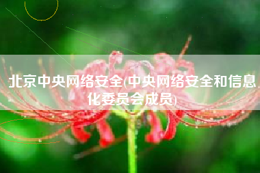 北京中央网络安全(中央网络安全和信息化委员会成员)
