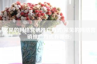 常见的网络营销推广方式(常见的网络营销推广方式有哪些)