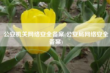 公安机关网络安全备案(公安局网络安全备案)