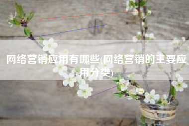 网络营销应用有哪些(网络营销的主要应用分类)