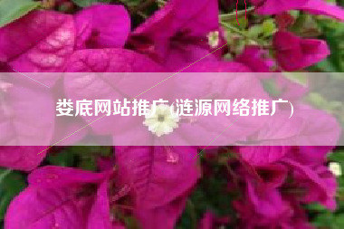 娄底网站推广(涟源网络推广)