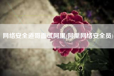 网络安全道哥面试阿里(阿里网络安全员)