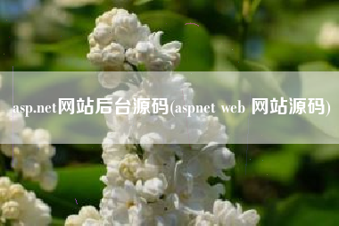 asp.net网站后台源码(aspnet web 网站源码)