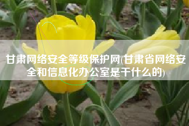 甘肃网络安全等级保护网(甘肃省网络安全和信息化办公室是干什么的)