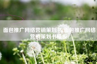 面包推广网络营销策划书(面包推广网络营销策划书模板)