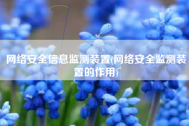 网络安全信息监测装置(网络安全监测装置的作用)