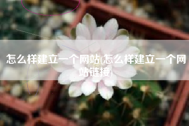 怎么样建立一个网站(怎么样建立一个网站链接)