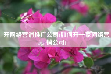 开网络营销推广公司(如何开一家网络营销公司)
