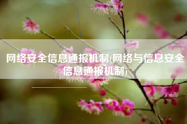 网络安全信息通报机制(网络与信息安全信息通报机制)