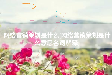 网络营销策划是什么(网络营销策划是什么意思名词解释)