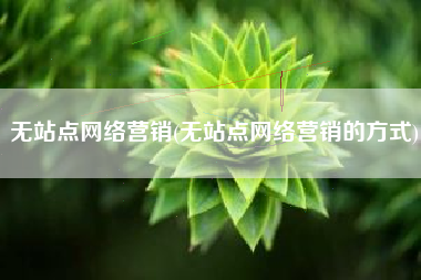 无站点网络营销(无站点网络营销的方式)