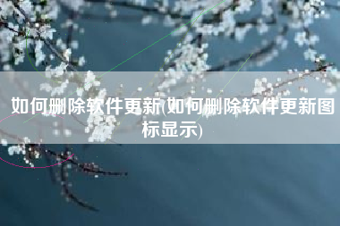 如何删除软件更新(如何删除软件更新图标显示)