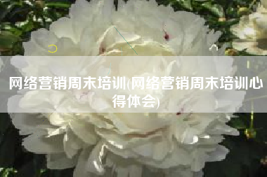 网络营销周末培训(网络营销周末培训心得体会)