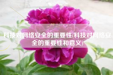 科技对网络安全的重要性(科技对网络安全的重要性和意义)