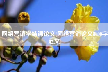 网络营销学结课论文(网络营销论文8000字范文)