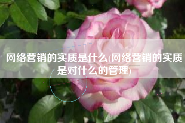 网络营销的实质是什么(网络营销的实质是对什么的管理)
