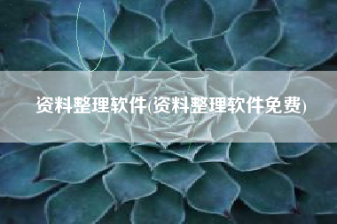 资料整理软件(资料整理软件免费)