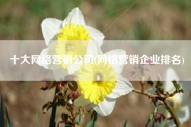 十大网络营销公司(网络营销企业排名)