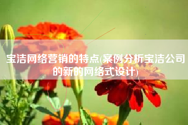 宝洁网络营销的特点(案例分析宝洁公司的新的网络式设计)