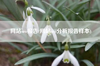 网站seo报告(网站seo分析报告样本)