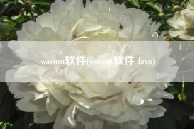 wacom软件(wacom软件 favo)
