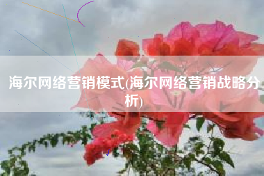 海尔网络营销模式(海尔网络营销战略分析)