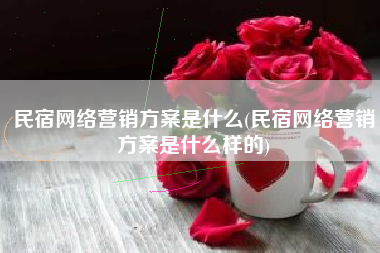 民宿网络营销方案是什么(民宿网络营销方案是什么样的)