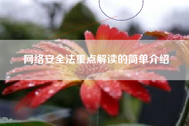 网络安全法重点解读的简单介绍