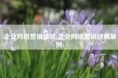 企业网络营销体验(企业网络营销经典案例)