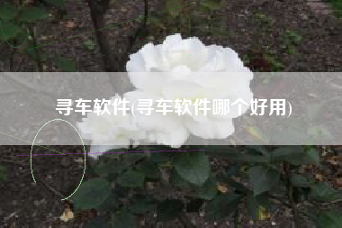 寻车软件(寻车软件哪个好用)