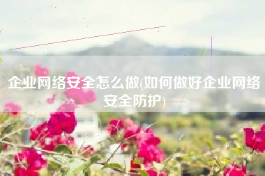 企业网络安全怎么做(如何做好企业网络安全防护)