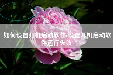 如何设置开机启动软件(设置开机启动软件运行失效)