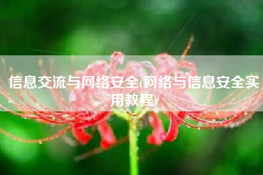 信息交流与网络安全(网络与信息安全实用教程)