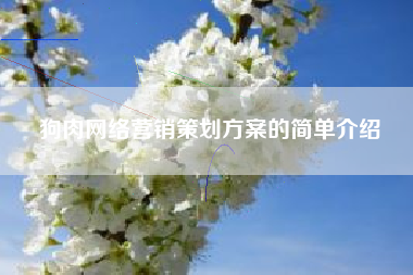 狗肉网络营销策划方案的简单介绍