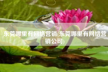 东莞哪里有网络营销(东莞哪里有网络营销公司)