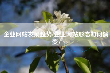 企业网站发展趋势(企业网站形态如何演变)