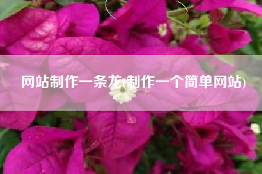 网站制作一条龙(制作一个简单网站)