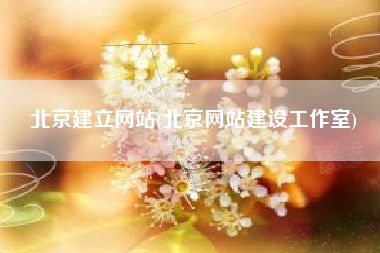 北京建立网站(北京网站建设工作室)
