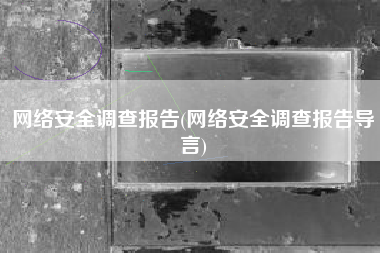 网络安全调查报告(网络安全调查报告导言)