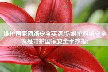 维护国家网络安全英语版(维护网络安全就是守护国家安全手抄报)
