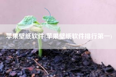 苹果壁纸软件(苹果壁纸软件排行第一)