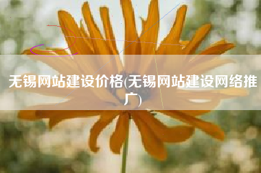 无锡网站建设价格(无锡网站建设网络推广)