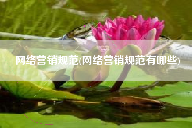网络营销规范(网络营销规范有哪些)