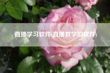 直播学习软件(直播教学的软件)