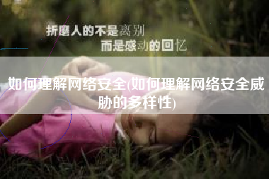 如何理解网络安全(如何理解网络安全威胁的多样性)