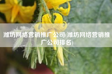 潍坊网络营销推广公司(潍坊网络营销推广公司排名)