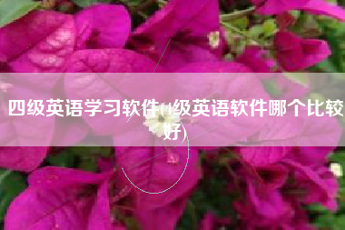 四级英语学习软件(4级英语软件哪个比较好)